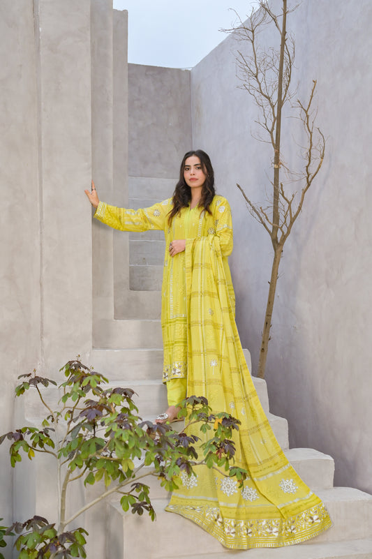 Baagh-e-Khayal  Dupatta